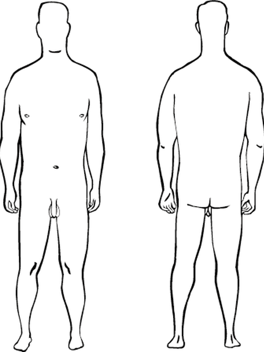 Männerkörper (öffnet vergrößerte Bildansicht)