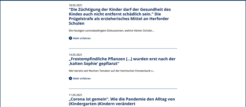 Beispielbild RSS-Feed Untermodul