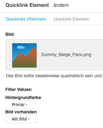 Screenshot Quicklink-Filter Optionen in 025E Quicklink-Element