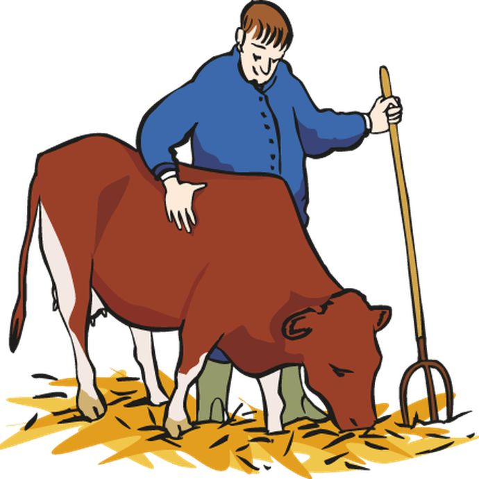 Landwirt mit Kuh (vergrößerte Bildansicht wird geöffnet)