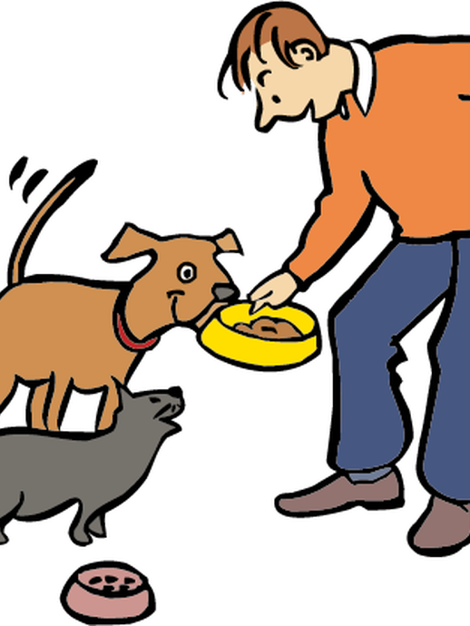 Ein Mann füttert seine Haustiere (öffnet vergrößerte Bildansicht)