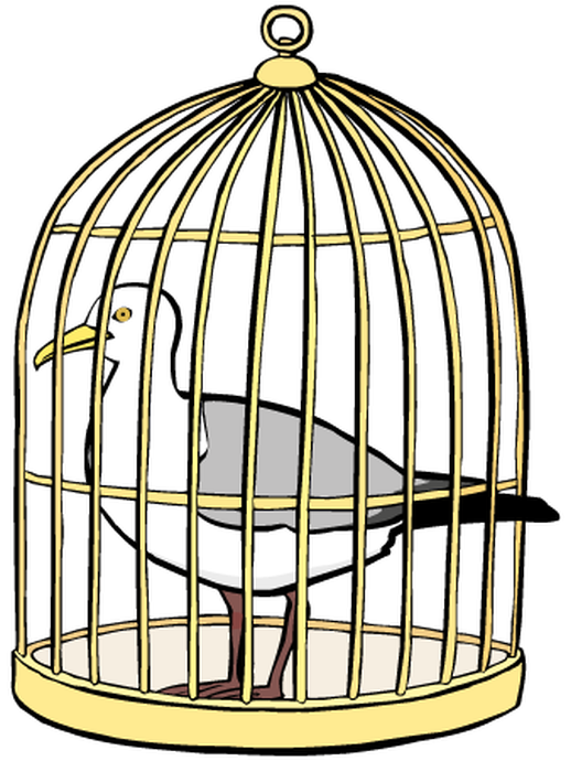 Gefangene Möwe (öffnet vergrößerte Bildansicht)