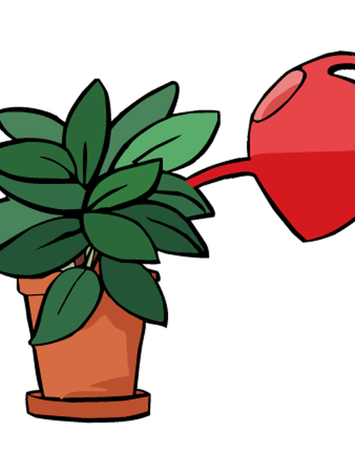 Eine Pflanze und eine Gießkanne (vergrößerte Bildansicht wird geöffnet)