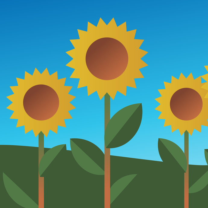 Sonnenblumen-Illustration (vergrößerte Bildansicht wird geöffnet)