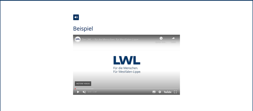 Beispielbild Video-Player Untermodul